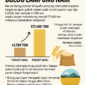 Infografis 