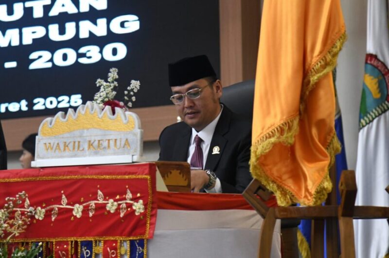 Wakil Ketua DPRD Provinsi Lampung, Naldi Rinara