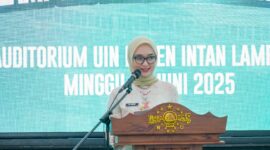 Wagub Lampung, Jihan Nurlela.