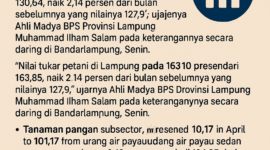 indografis