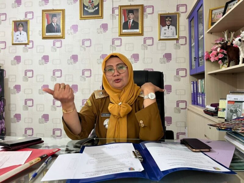 epala Dinas Peternakan dan Kesehatan Hewan Lampung, Lili Mawarti.