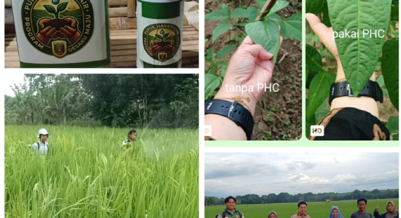 foto slider headline